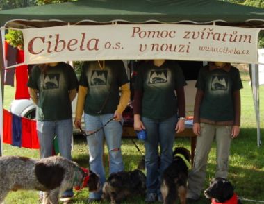 cibela