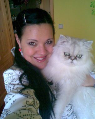 cibela